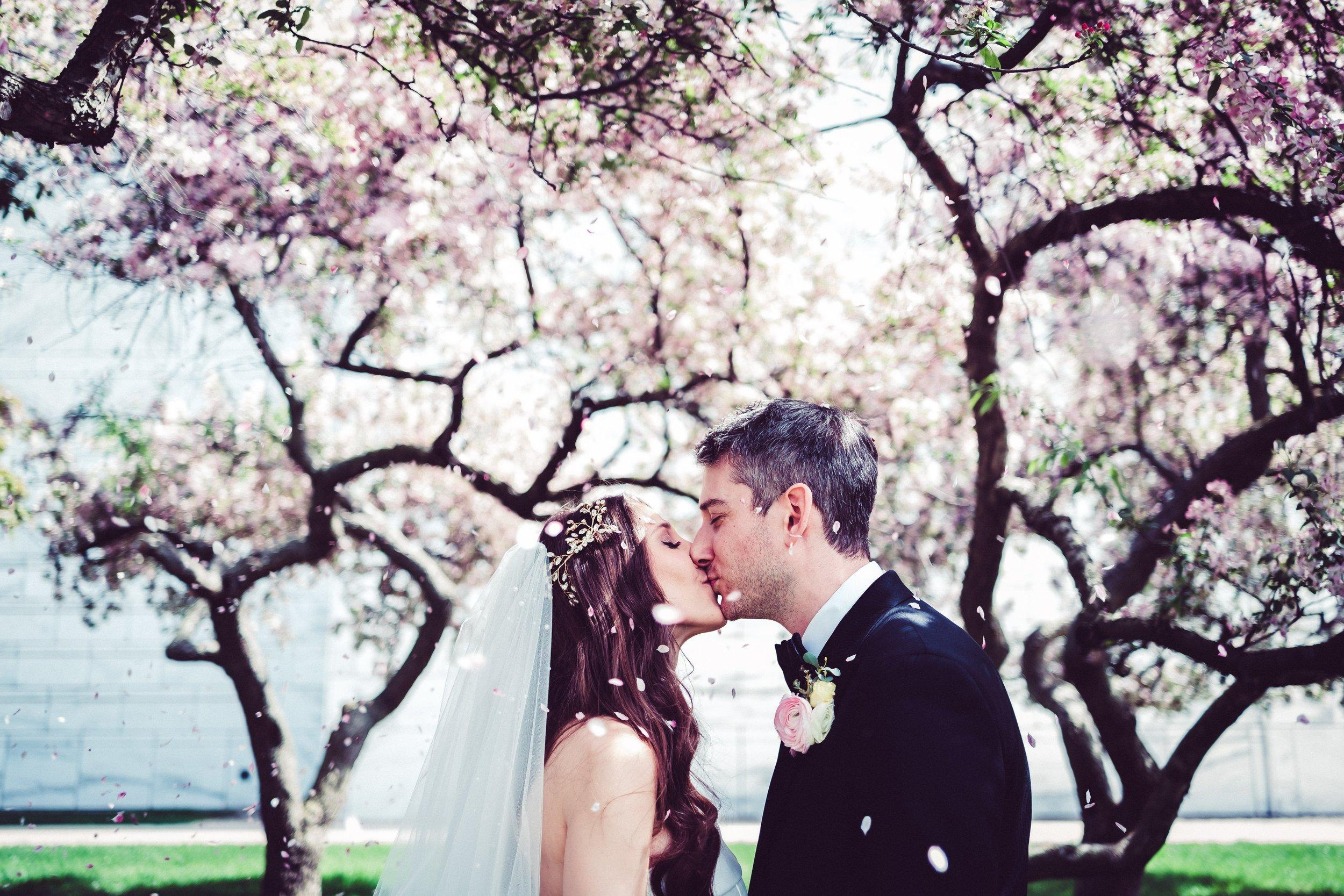 pink blossom pedal falling wedding photo 