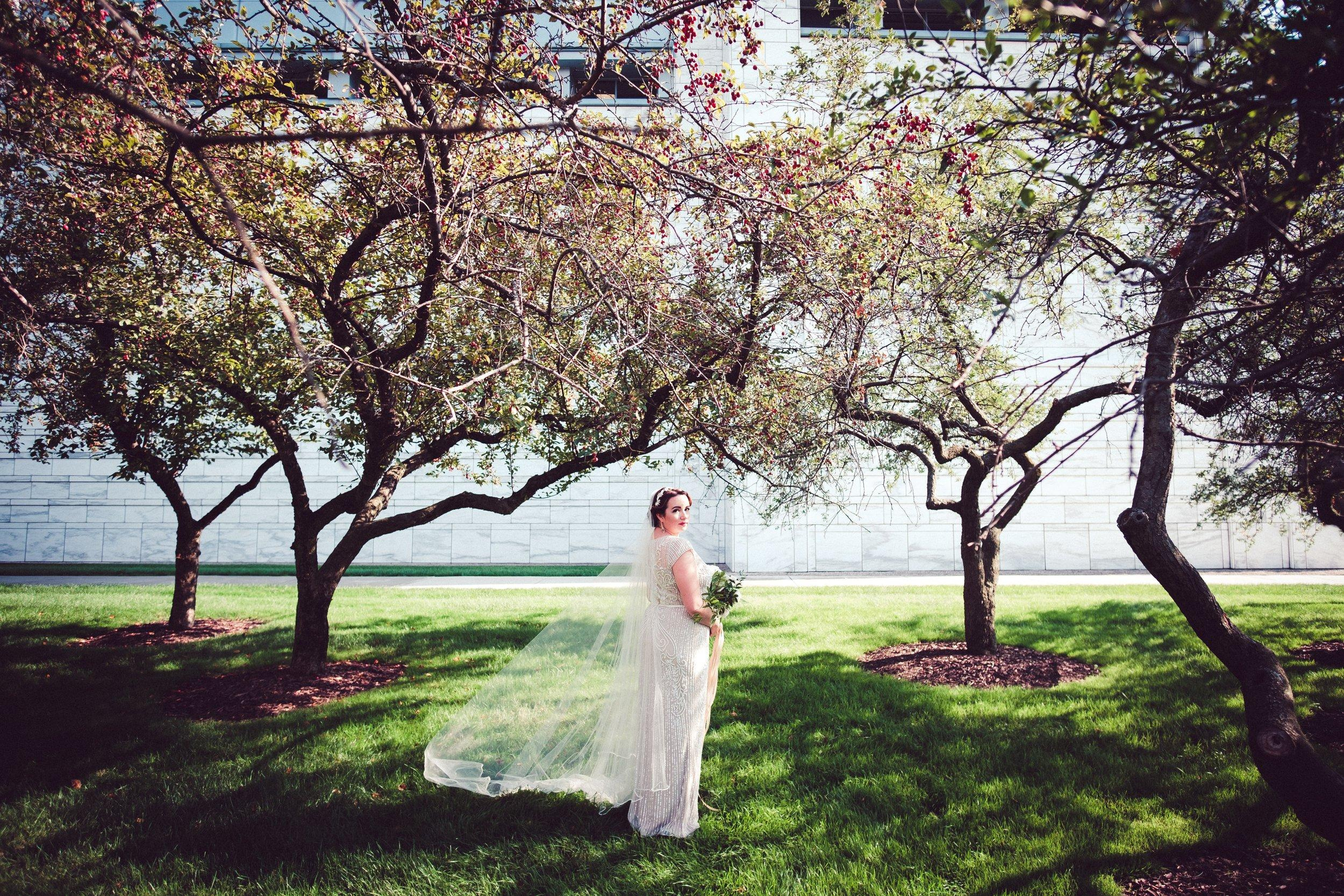 vintage gown and veil bride in grove